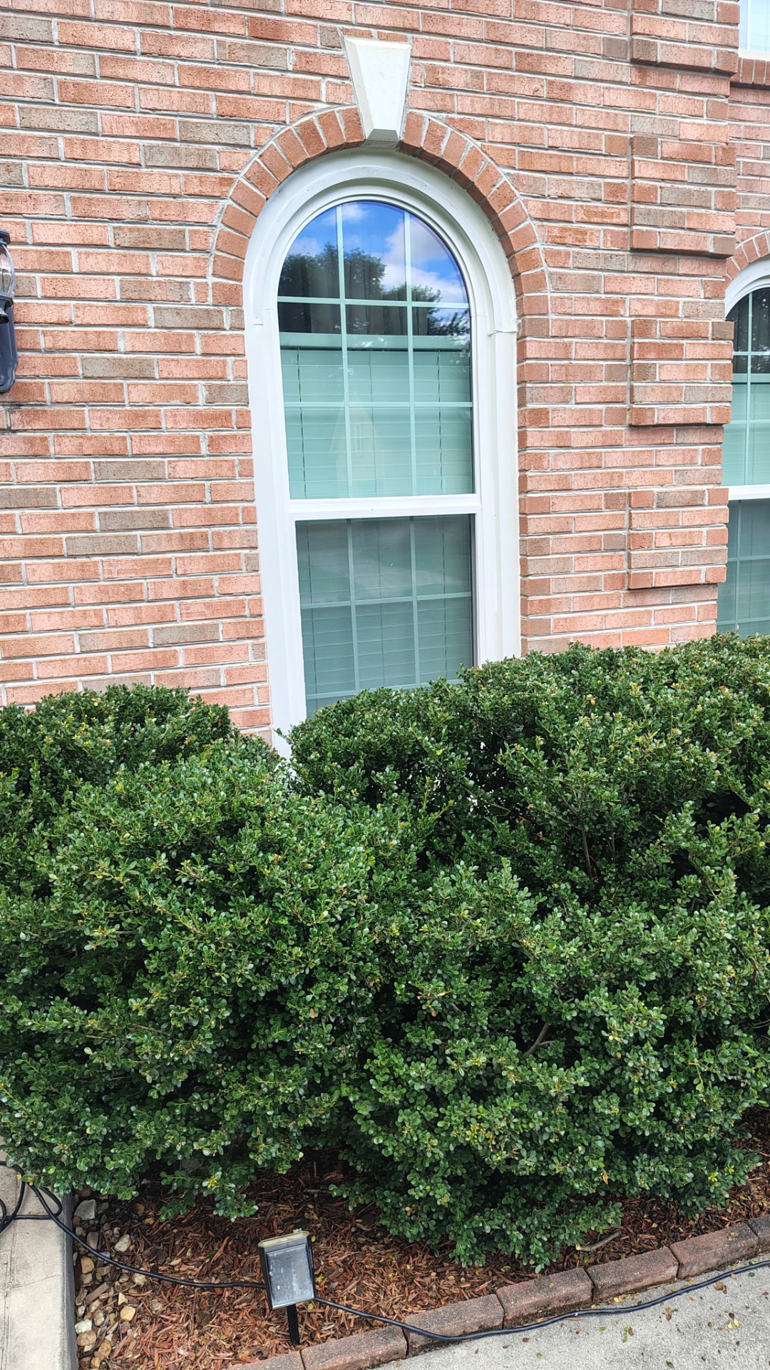 Arched window replacement